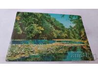 Ταχυδρομική κάρτα Ροποτάμο ποταμός 1961