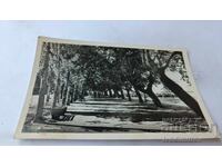 Καρτ ποστάλ Νικόπολη