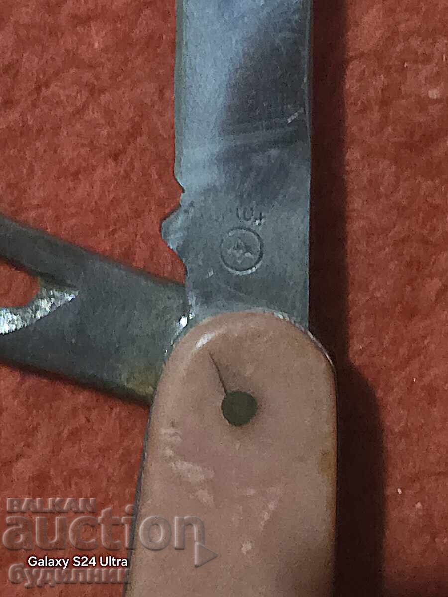 Old leg from the Socialist era BZTs. I'm launching over 100 Auctions. Take a look! - 7