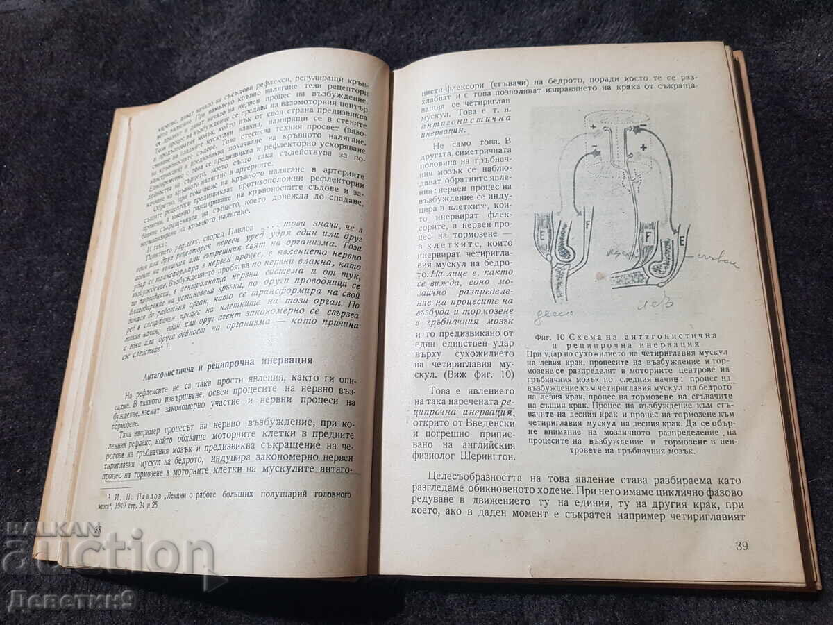 Παβλόφσκα Φυσιολογία - Δ. Ματέεφ 1953 - 6 Παβλόφσκα Φυσιολογία - Δ. Ματέεφ 1953 - 6
