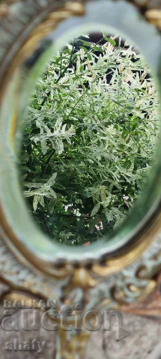 Old bronze mirror - 6