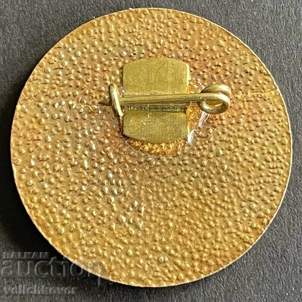 Bulgaria 41035 Badge People's Community Center town of Strecha 1971 enamel with price 20.00 BGN | € 10.23