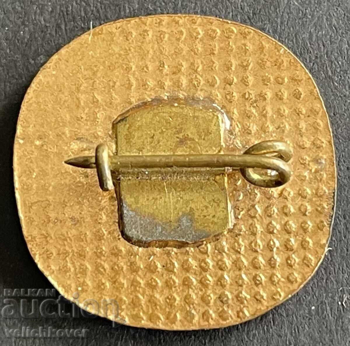 Bulgaria Badge Coat of Arms City of Pleven Enamel with price 5.00 BGN | € 2.56