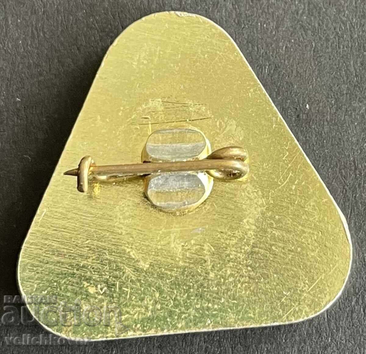 41058 Bulgaria BTS sign Peshtera Saeva Dupka village Brestnitsa with price 5.00 BGN | € 2.56