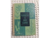 Ghid de colectare a plantelor medicinale