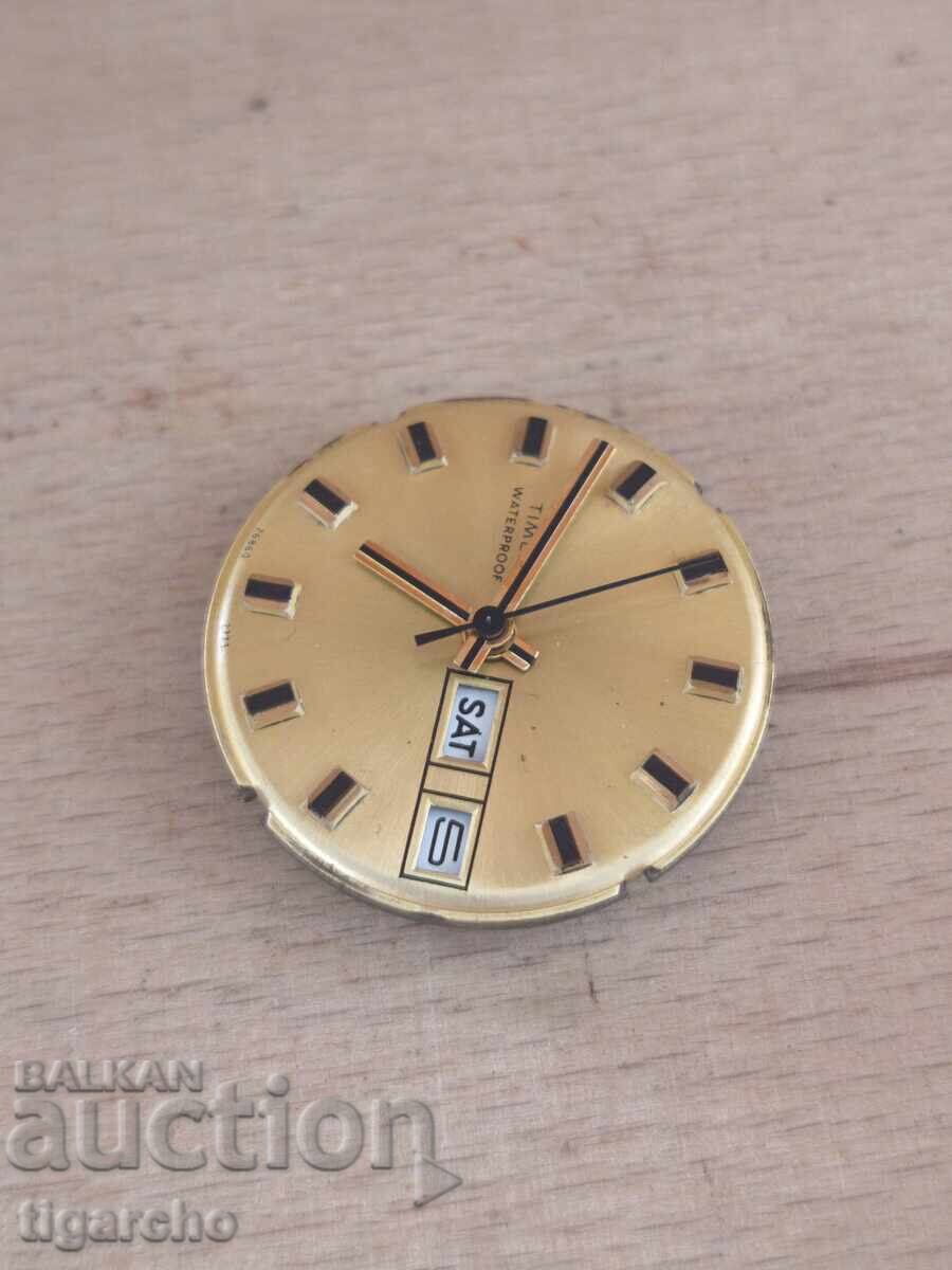 Licitație Mașină de ceas pentru bărbați TIMEX