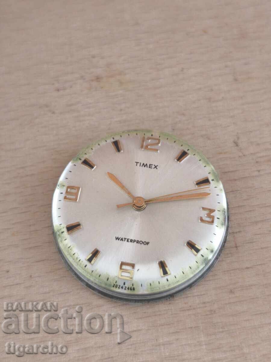 Delivery of TIMEX Men's Watch Machine