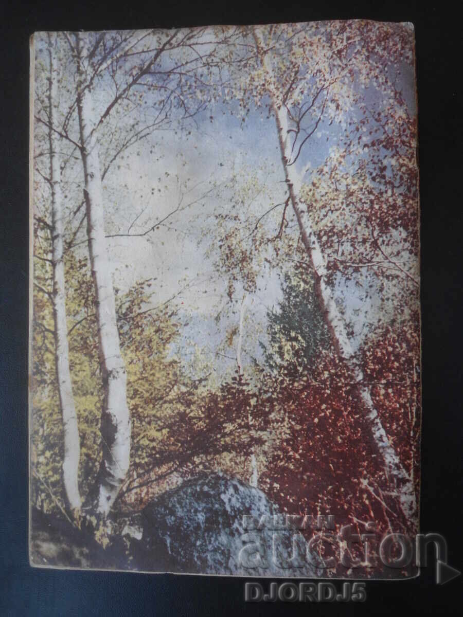 Δημοπρασία Περιοδικό "Η Γυναίκα Σήμερα", Τεύχος 11 του 1959 Δημοπρασία Περιοδικό "Η Γυναίκα Σήμερα", Τεύχος 11 του 1959