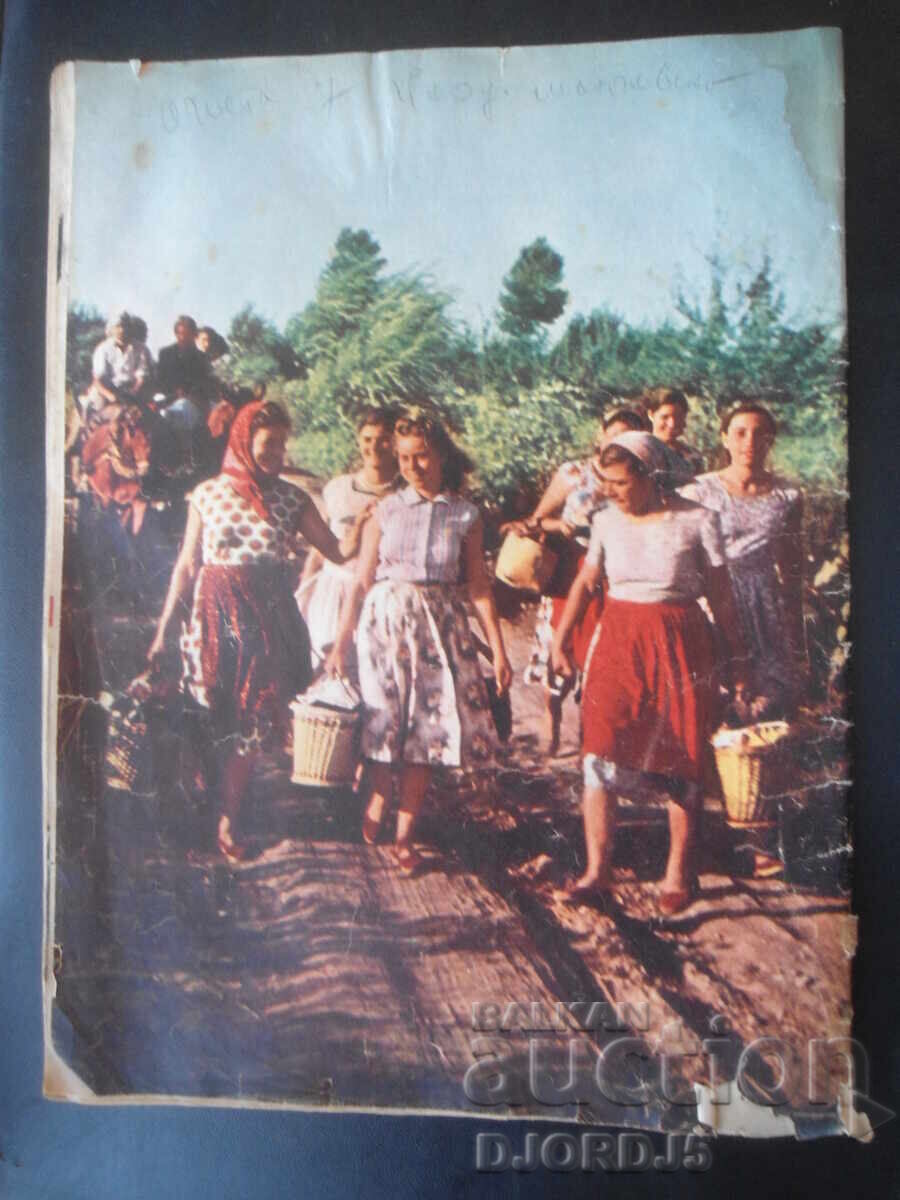 Δημοπρασία Περιοδικό "Η Γυναίκα Σήμερα", Τεύχος 4 του 1962