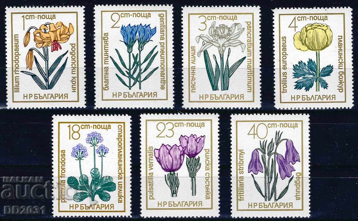 Βουλγαρία 1972 - Λουλούδια MNH Βουλγαρία 1972 - Λουλούδια MNH