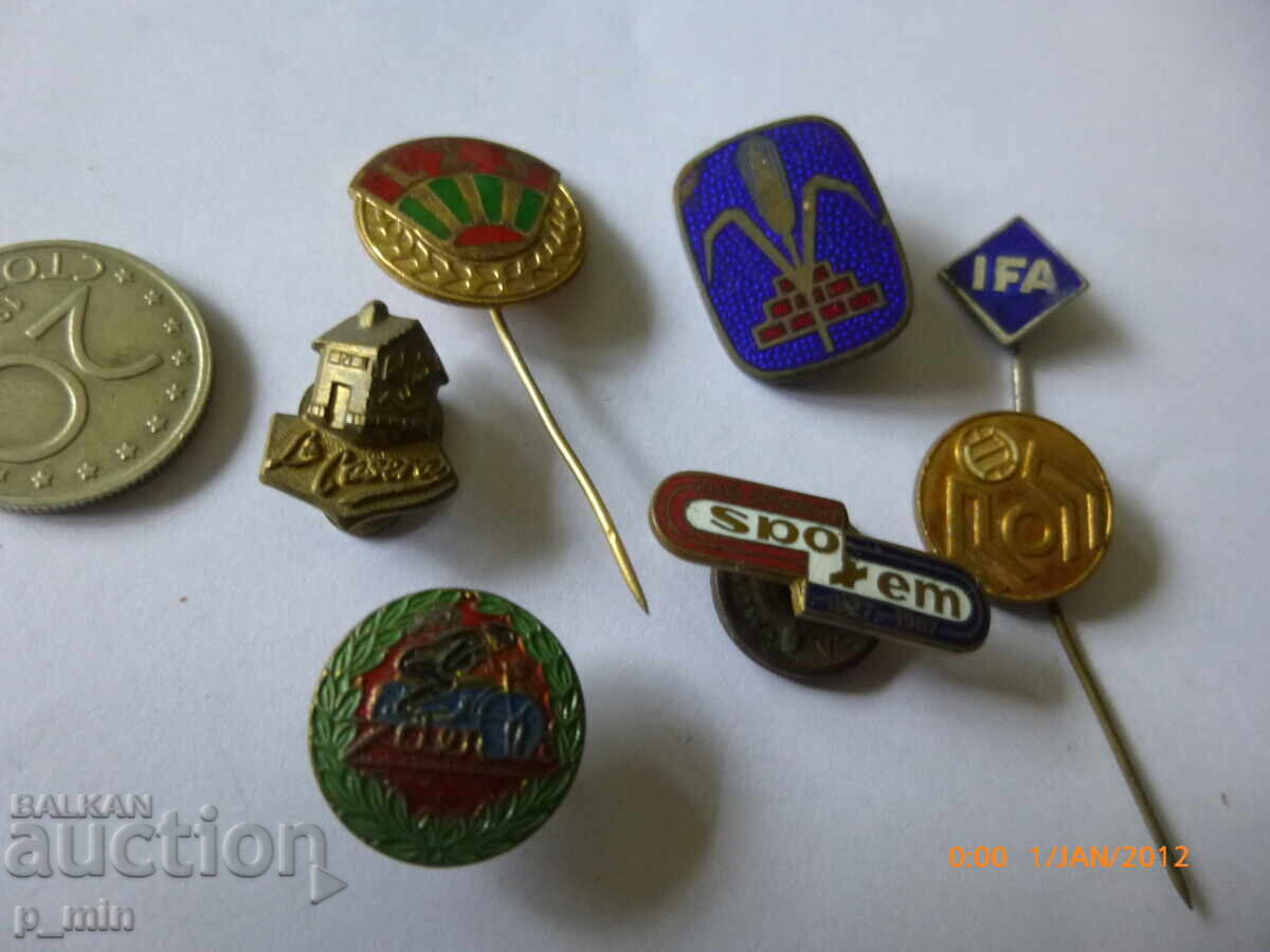 Licitație 7 bucăți insigne piept