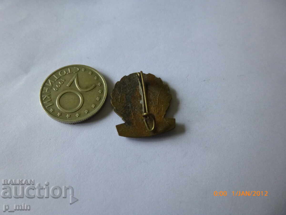 Аукцион нагръден знак Аукцион нагръден знак