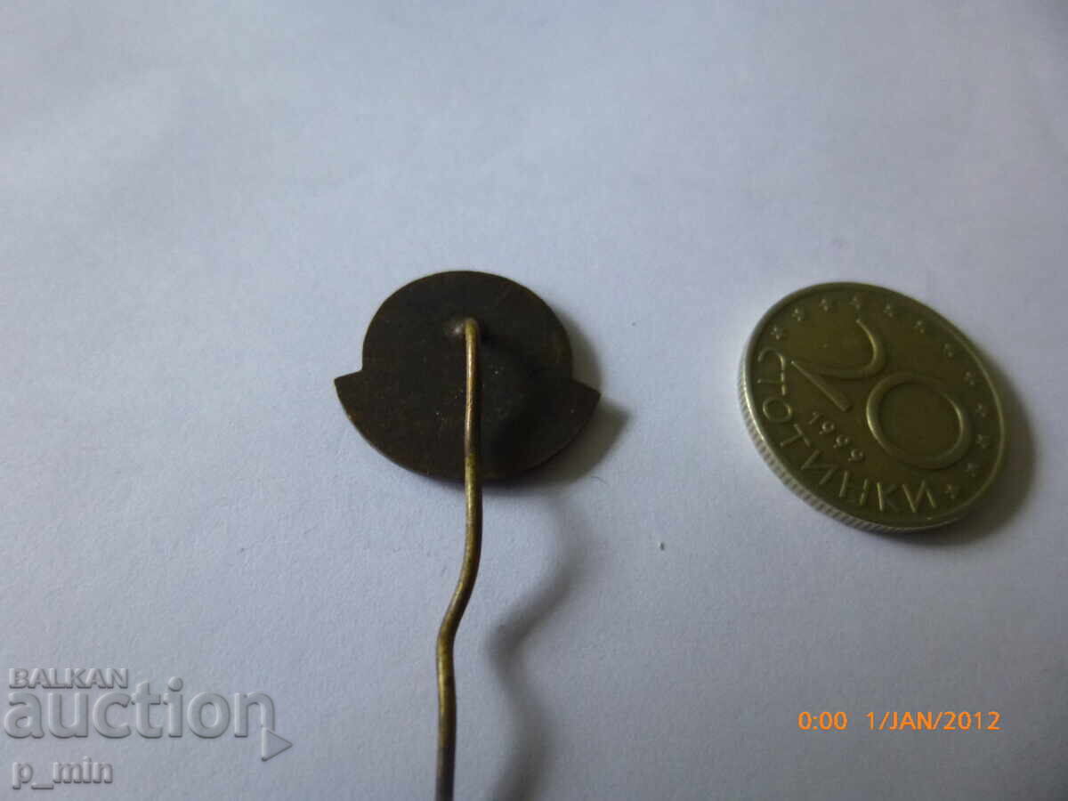 Аукцион нагръден знак