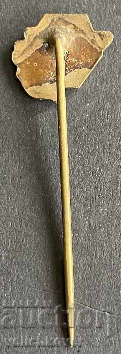 41071 Τσεχοσλοβακία γραμματόσημο Τσεχοσλοβακικής Ένωσης Μελισσοκόμων 70's με τιμή 8.00 BGN | € 4.09