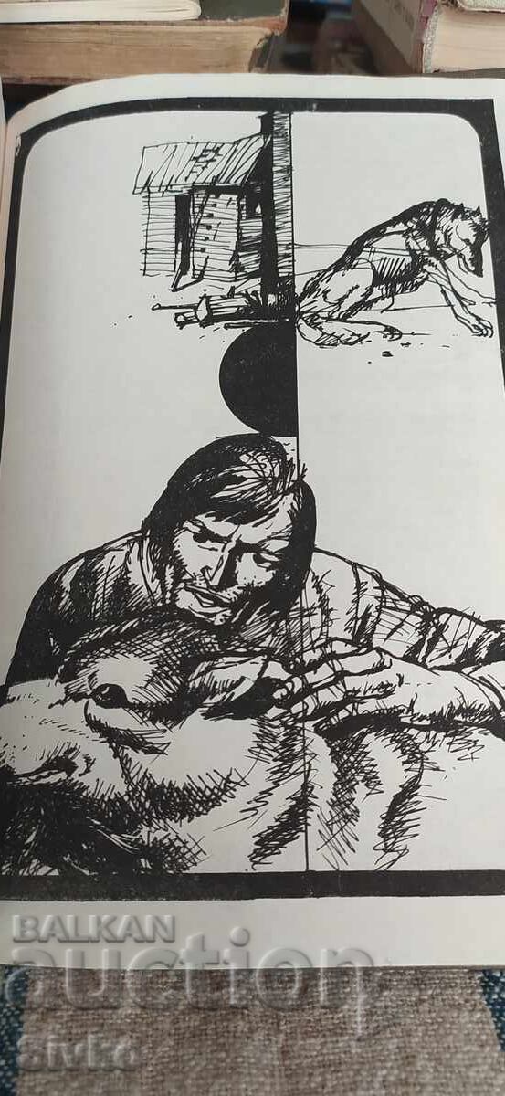 Licitație Albă Zăpadă, Chemarea Sălbăticiei, Jack London ediția întâi, multe ilustrații