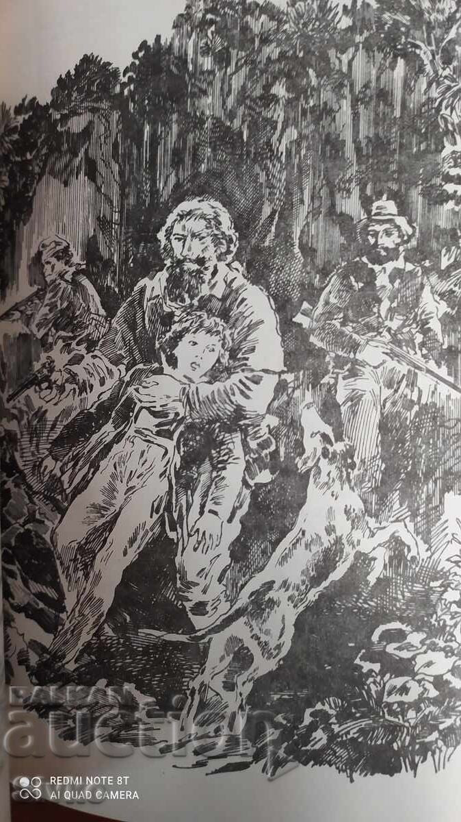 Delivery of Two Years' Vacation, Jules Verne, First Edition, Many Illustrations Delivery of Two Years' Vacation, Jules Verne, First Edition, Many Illustrations