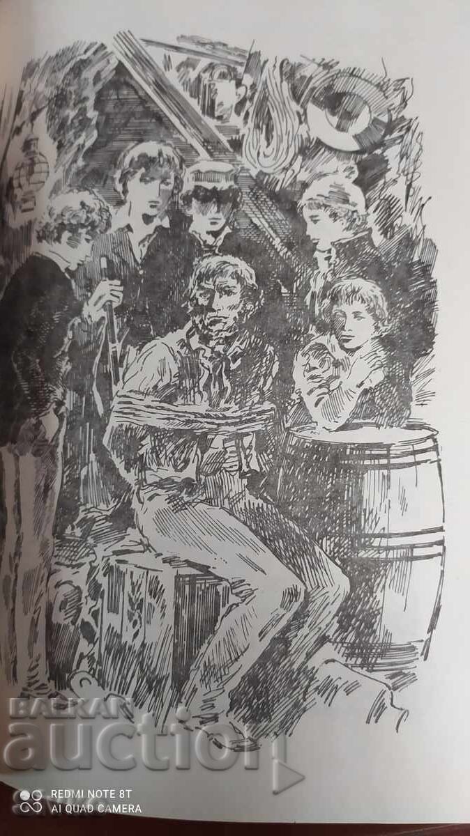 Two Years' Vacation, Jules Verne, First Edition, Many Illustrations - 5 Two Years' Vacation, Jules Verne, First Edition, Many Illustrations - 5