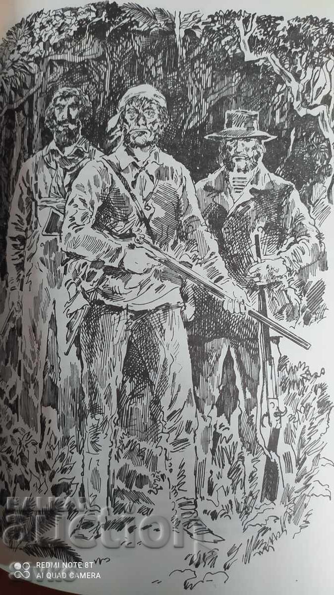 Two Years' Vacation, Jules Verne, First Edition, Many Illustrations - 7 Two Years' Vacation, Jules Verne, First Edition, Many Illustrations - 7