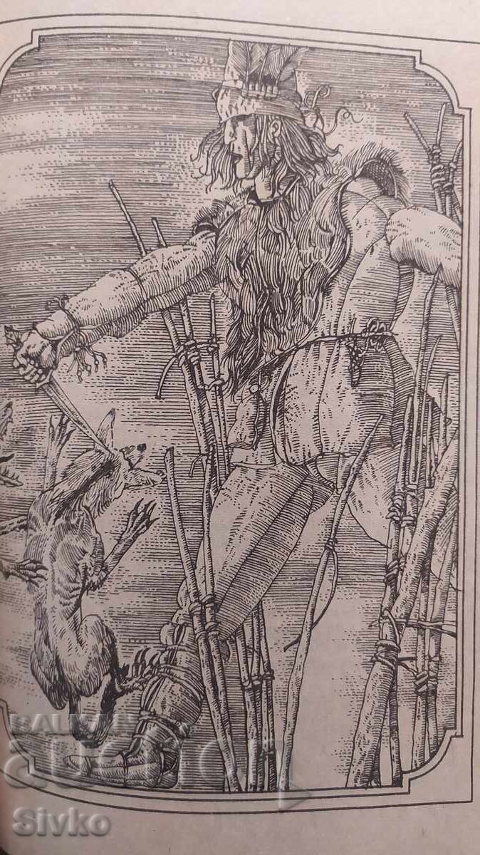 Децата на капитан Грант, Жул Верн, много илюстрации - 7