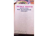 Captain Grant's Children, Jules Verne, many illustrations