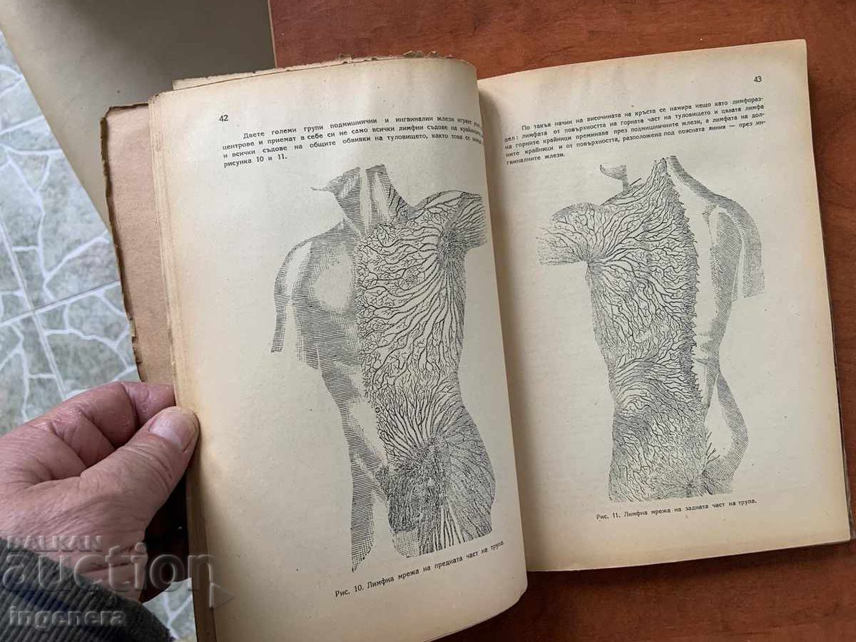 I.M. SERKIZOV-SERAZIN - SPORTS MASSAGE AND SELF-MASSAGE - 1950 - 6