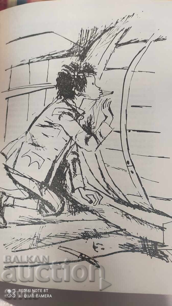 The Sea Wolf or Journey into Darkness, Mayne Reid, many illustrations - 6 The Sea Wolf or Journey into Darkness, Mayne Reid, many illustrations - 6