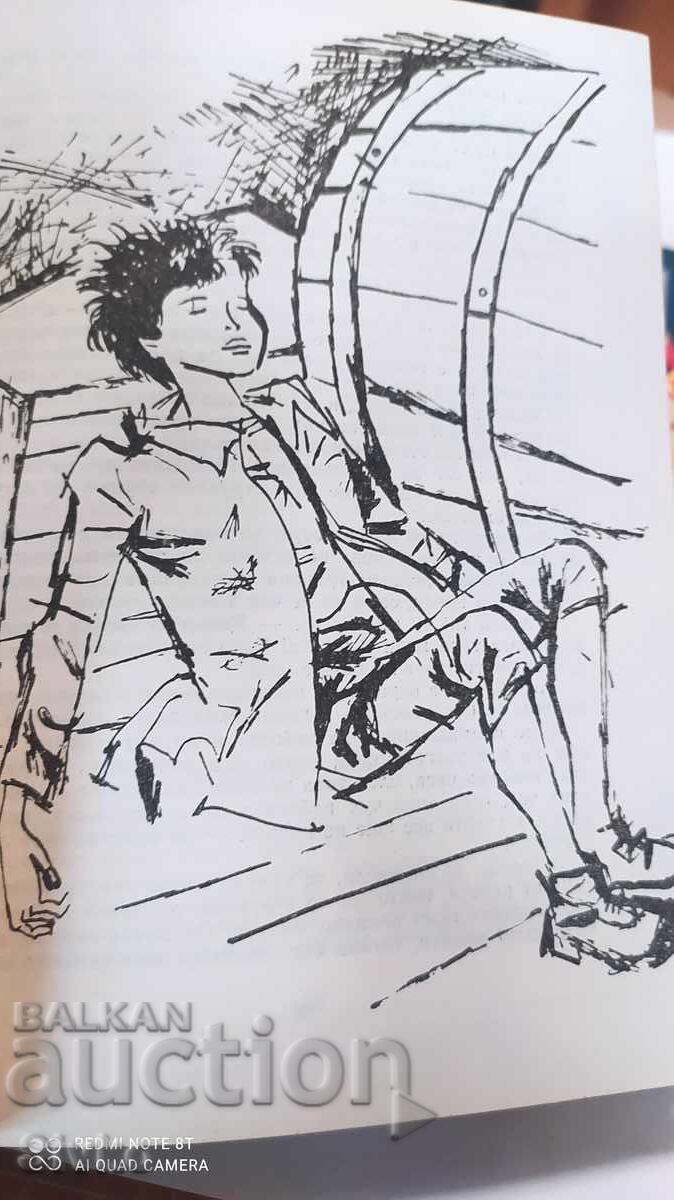 The Sea Wolf or Journey into Darkness, Mayne Reid, many illustrations - 7 The Sea Wolf or Journey into Darkness, Mayne Reid, many illustrations - 7