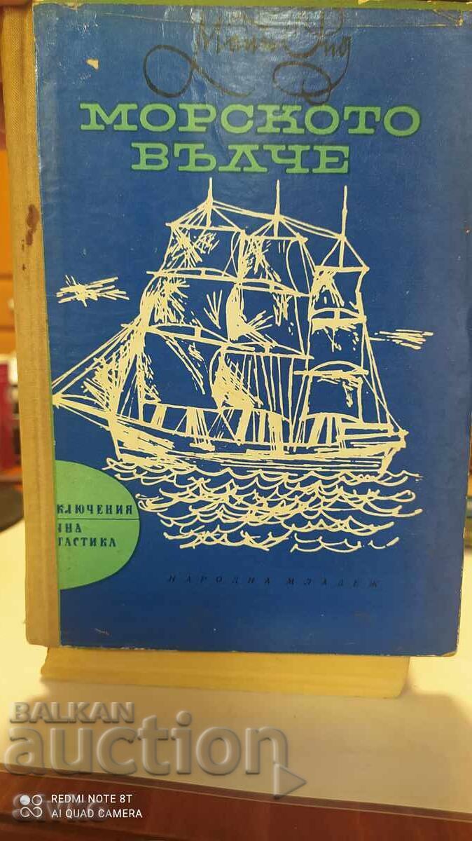 The Sea Wolf or Journey into Darkness, Mayne Reid, many illustrations The Sea Wolf or Journey into Darkness, Mayne Reid, many illustrations