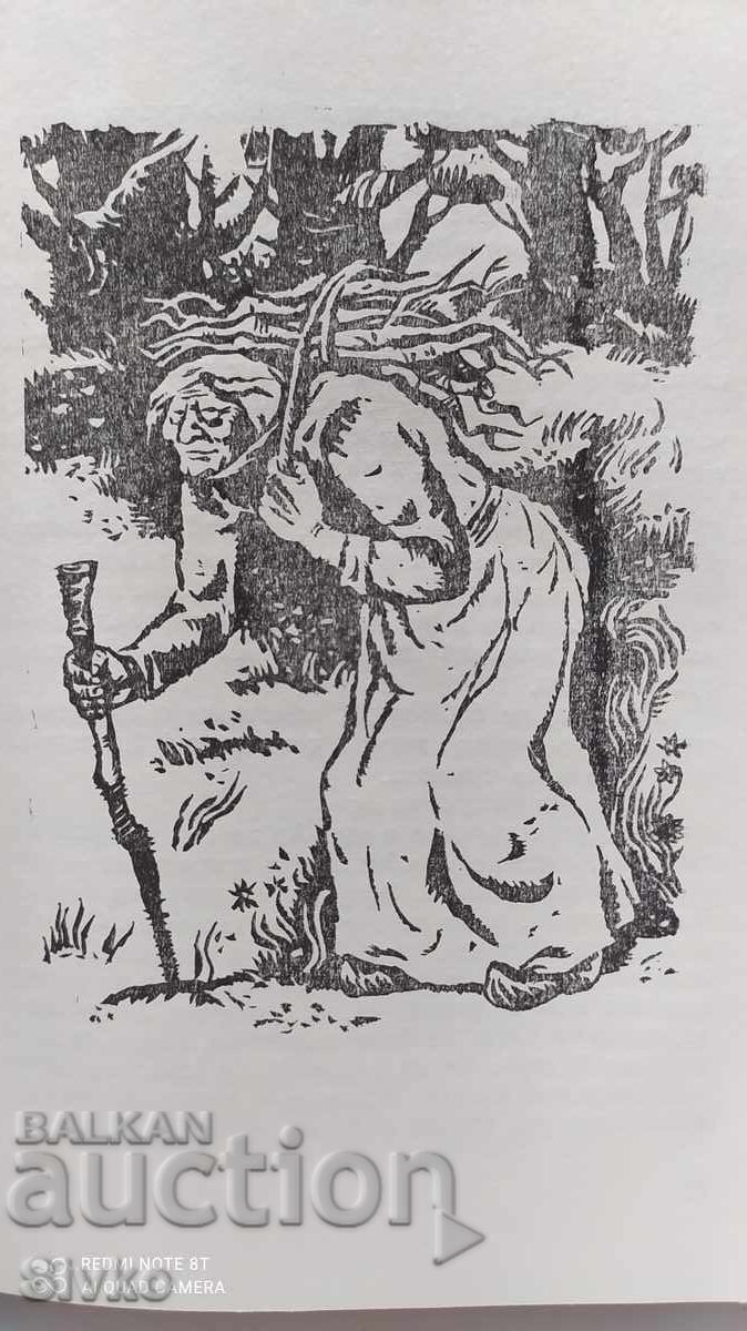 Presledvane ot yuzhnite moreta, Petŭr Bobev, mnogo ilyustratsii - 6