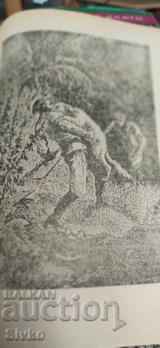 Fifteen Year Old Captain, Jules Verne, Original Illustrations with price 1.51 BGN | € 0.77