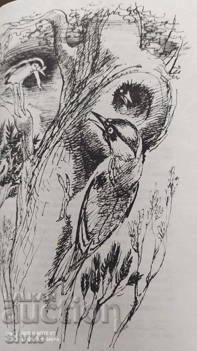 Приключенията на професор Попен в тресавището, Йошихито Фуна - 5 Приключенията на професор Попен в тресавището, Йошихито Фуна - 5