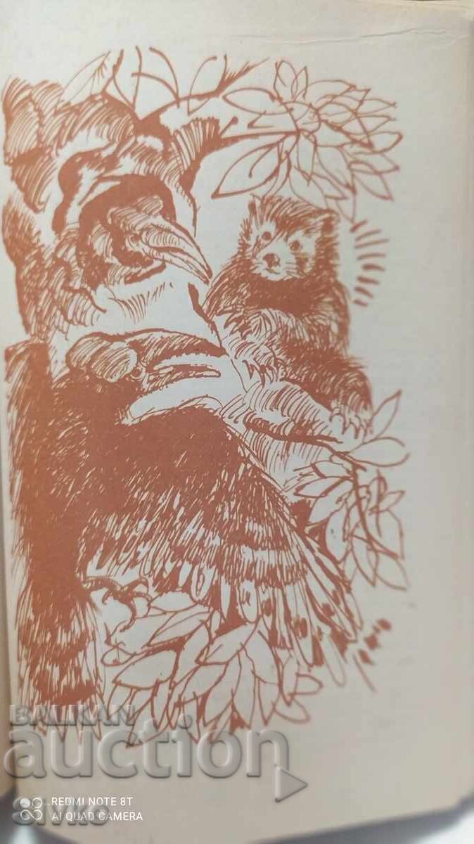 Auction Climbers on the Rocks, Mayne Reid, many illustrations Auction Climbers on the Rocks, Mayne Reid, many illustrations