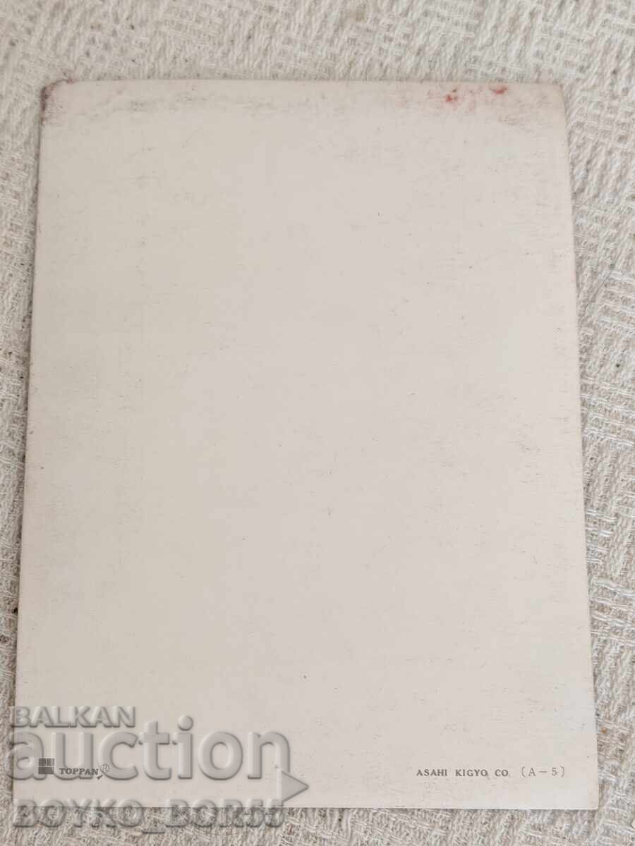 Δημοπρασία Αυθεντική Ιαπωνική Στερεοσκοπική Καρτ-ποστάλ Στερεοφωνική Καρτ-ποστάλ 1970s