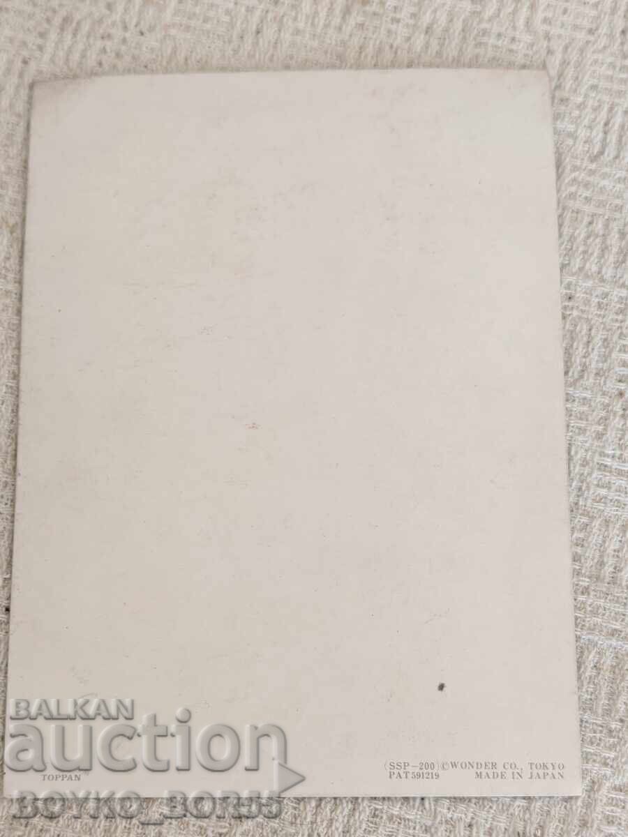 Δημοπρασία Αυθεντική Ιαπωνική Στερεοσκοπική Καρτ-ποστάλ Στερεοφωνική Καρτ-ποστάλ 1970s Δημοπρασία Αυθεντική Ιαπωνική Στερεοσκοπική Καρτ-ποστάλ Στερεοφωνική Καρτ-ποστάλ 1970s