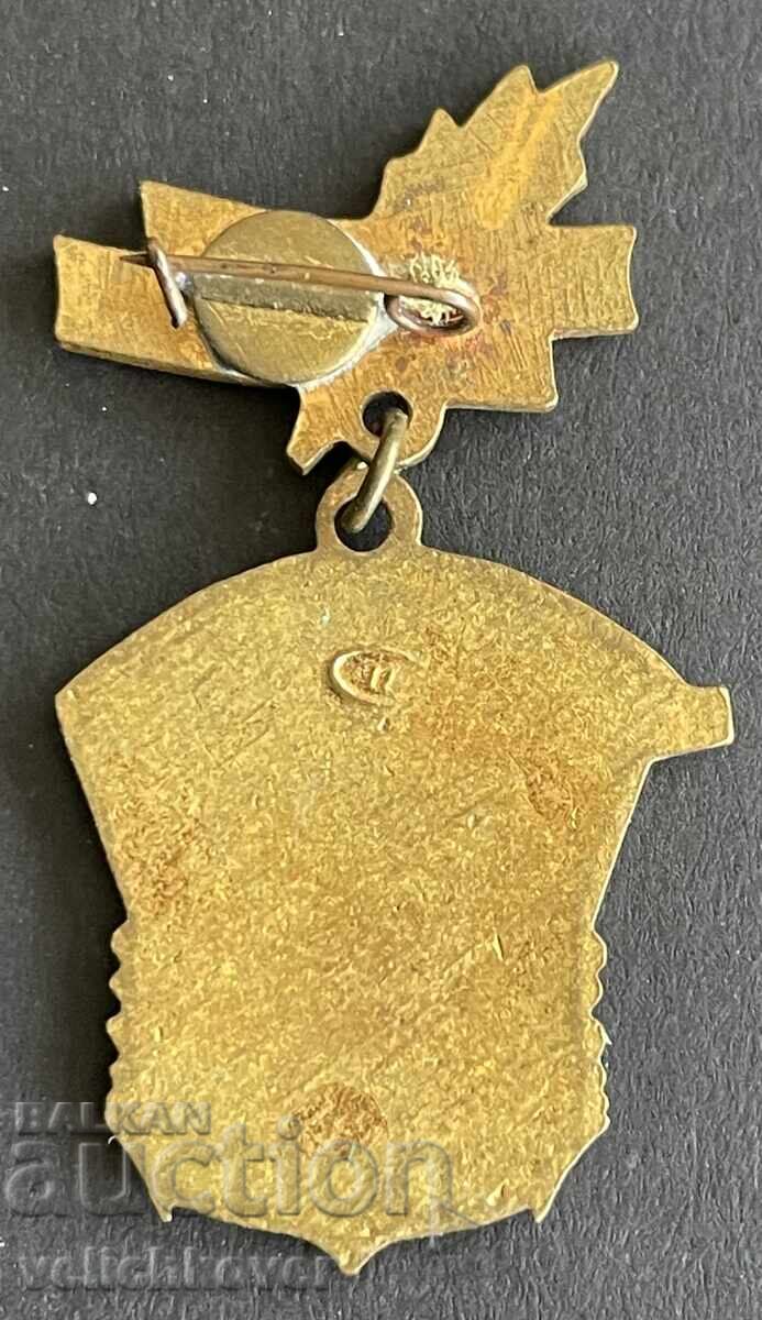 41112 СССР знак ДОСО Шампион на региона 1960-1961г. Емайл с цена 15.00 лв. | € 7.67