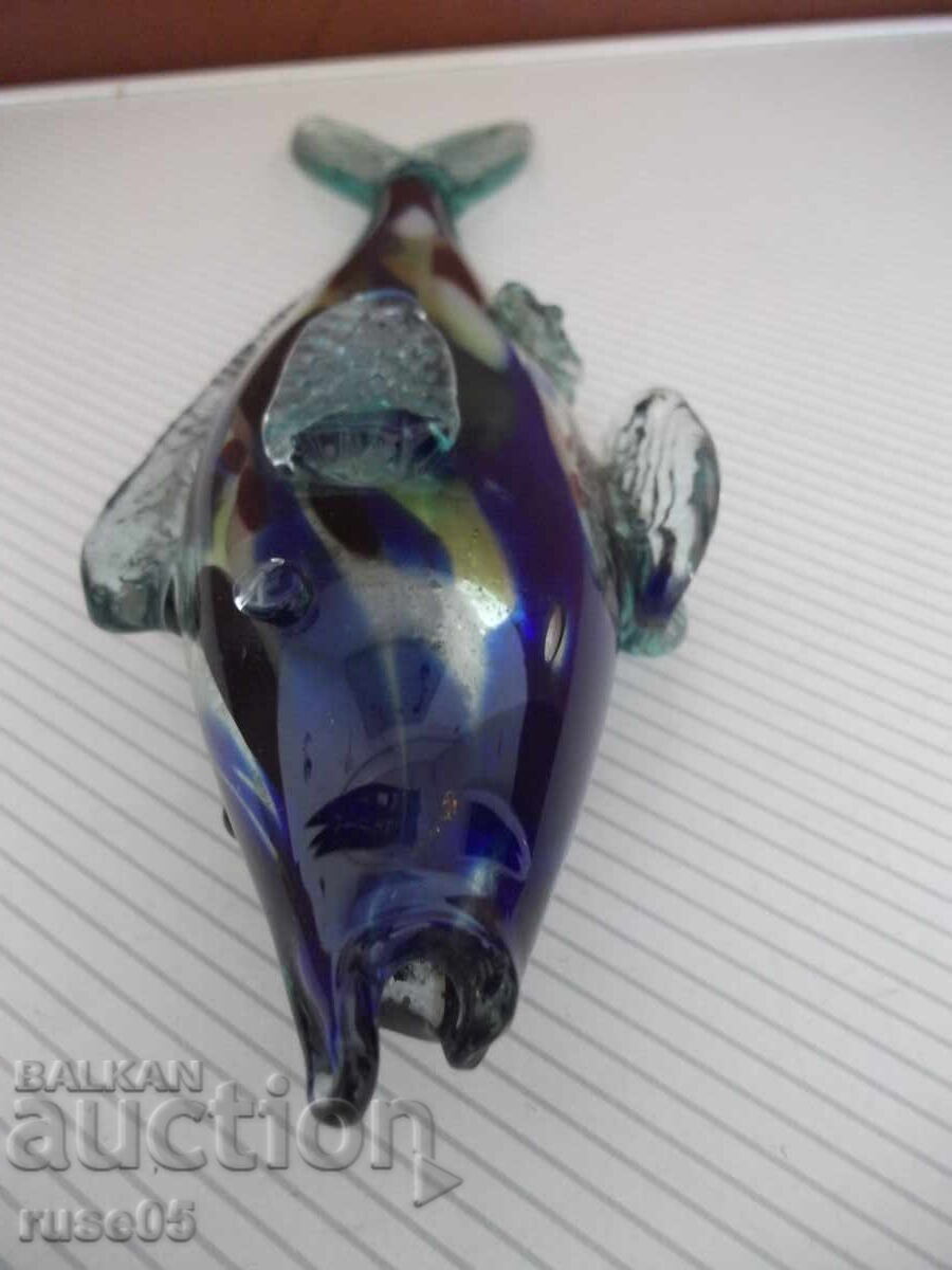 Γυάλινο ψάρι - 1 - 7 Γυάλινο ψάρι - 1 - 7