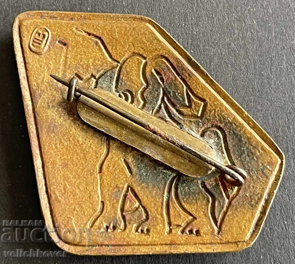 41122 Σοβιετικό σήμα καρφίτσα με διαστημικό σκύλο Μπέλκα σμάλτο με τιμή 10.00 BGN | € 5.11