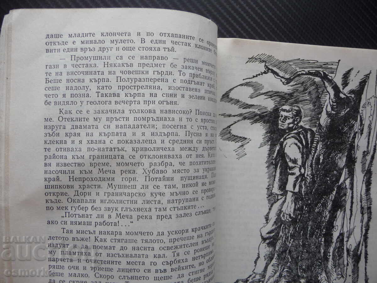 Μυστηριώδης απαγωγή Ιβάν Ρουζ φθηνά βιβλία μυθιστορήματα φτηνά με τιμή 0.80 BGN | € 0.41
