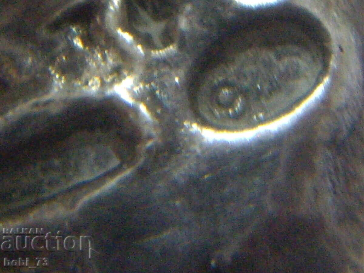 Delivery of Interesting flower Delivery of Interesting flower