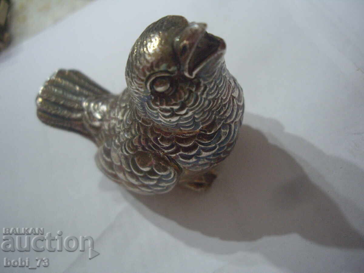 Pui foarte frumos Pui foarte frumos