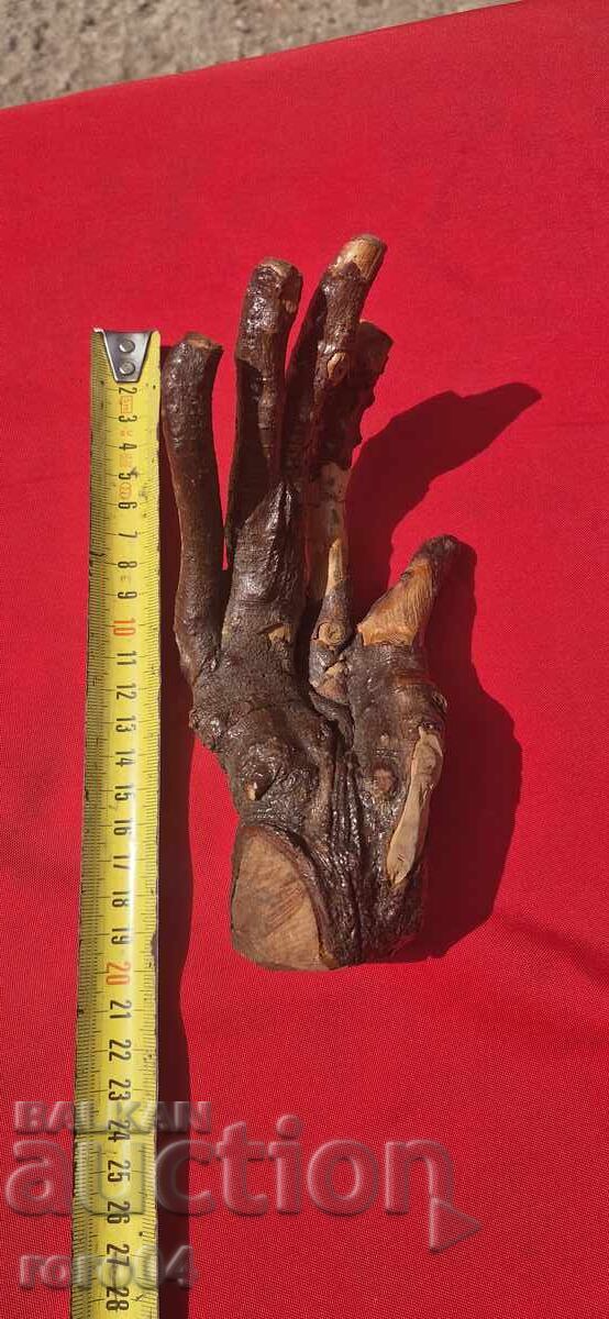 ΧΕΡΙ - ΚΛΑΔΙ - ΔΕΝΤΡΟ - ΓΛΥΠΤΟ - ΜΑΝΙΚΙΟΥΡ - 5