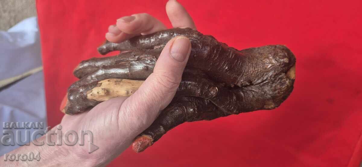 MÂNĂ - CREANGĂ - COPAC - SCULPTURĂ - MANICHIUR - 7