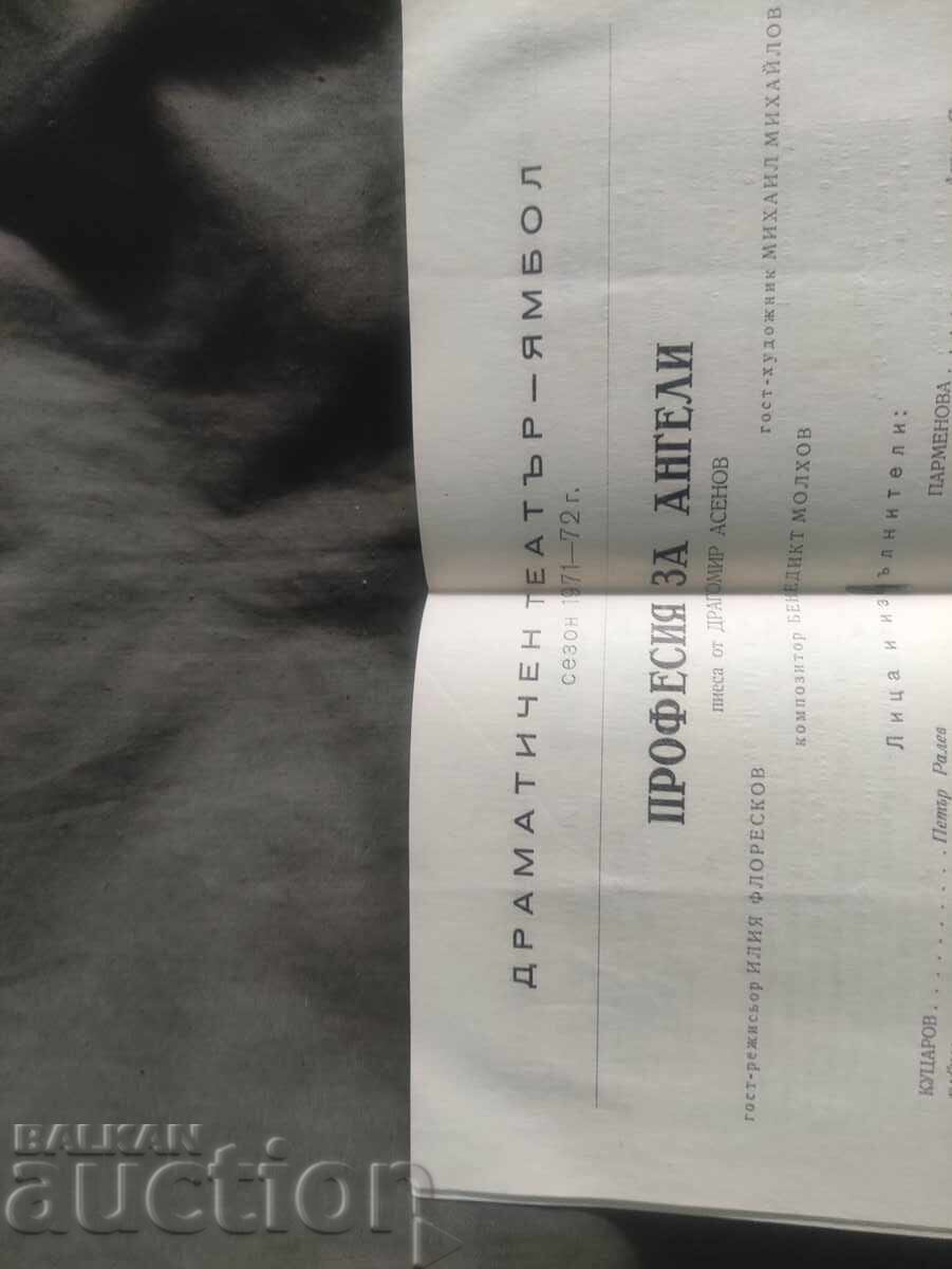 Dramatic Theatre - Yambol - Profession for Angels with price 50.00 BGN | € 25.56