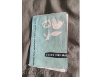 People's Theatre for Youth Sofia - Goodbye Mother