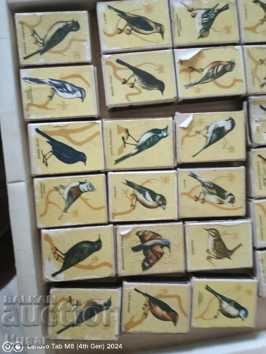 Лот Руски (СССР)  кибрити, пойни птици, 24 бр, кибрит с цена 49.99 лв. | € 25.56