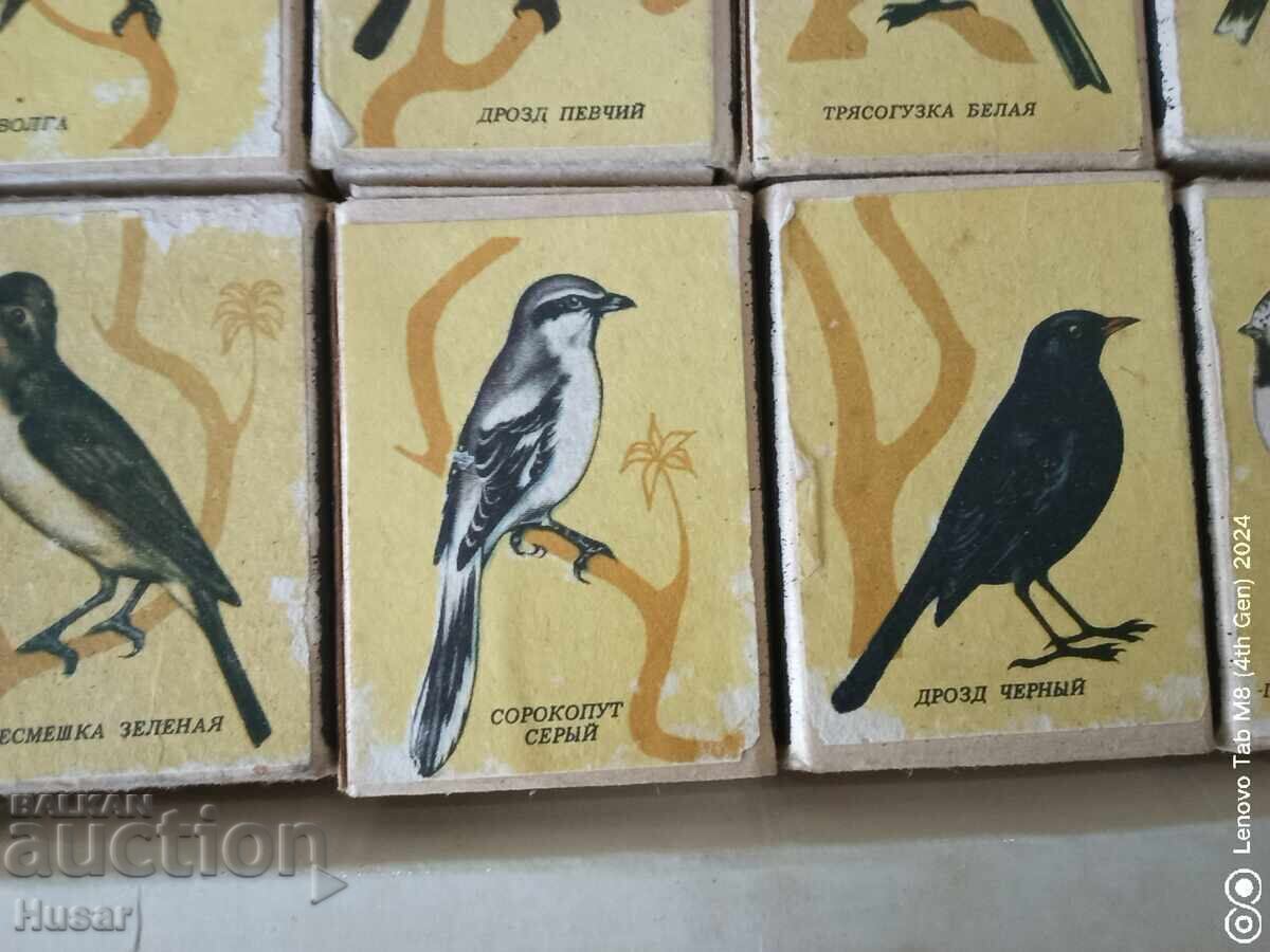 Livrarea Lot de chibrituri rusești (URSS), păsări cântătoare, 24 buc, chibrituri