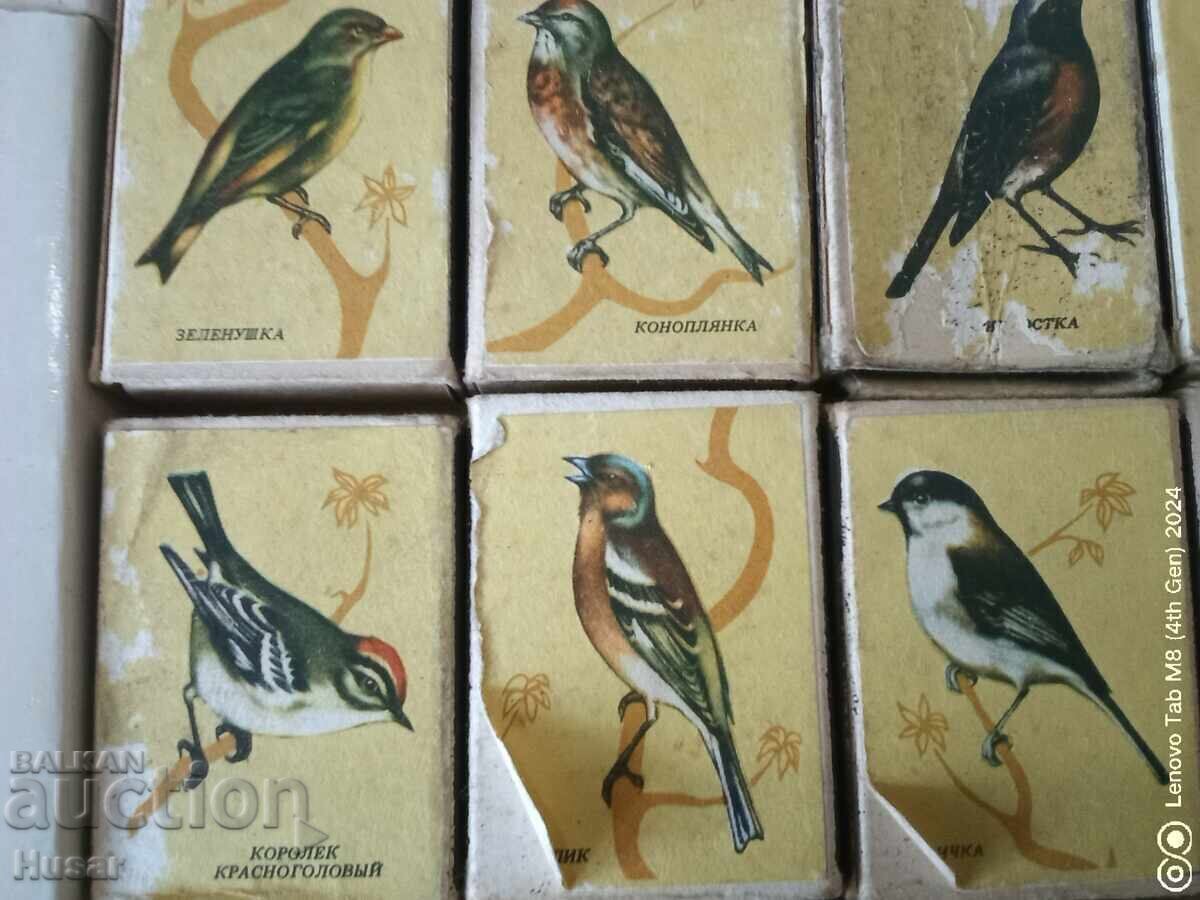 Lot de chibrituri rusești (URSS), păsări cântătoare, 24 buc, chibrituri - 5