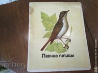 Лот Руски (СССР)  кибрити, пойни птици, 24 бр, кибрит