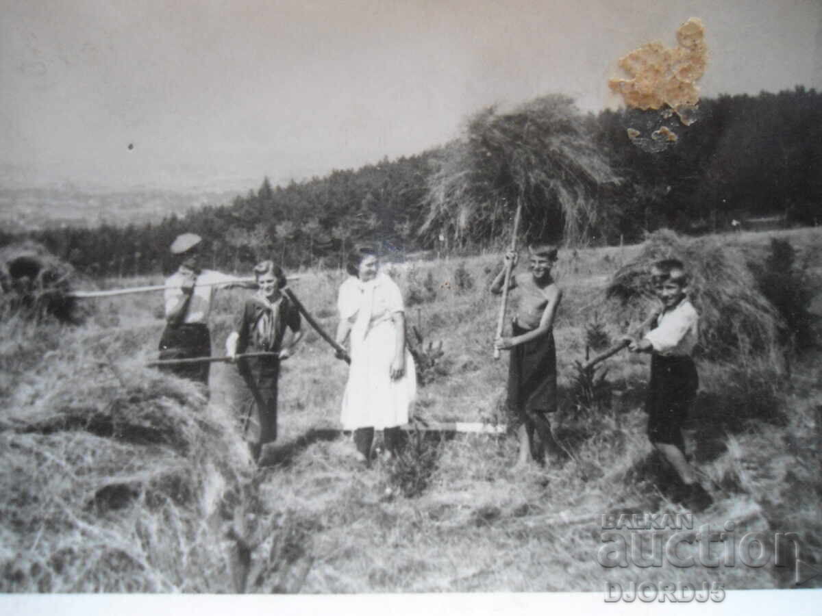 fotografie veche fotografie veche