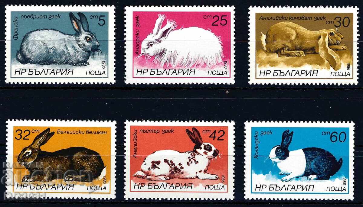 България 1986 - зайци MNH България 1986 - зайци MNH